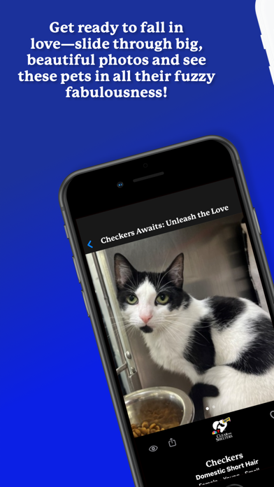 WeRescue: Adopt a Pet Search Screenshot