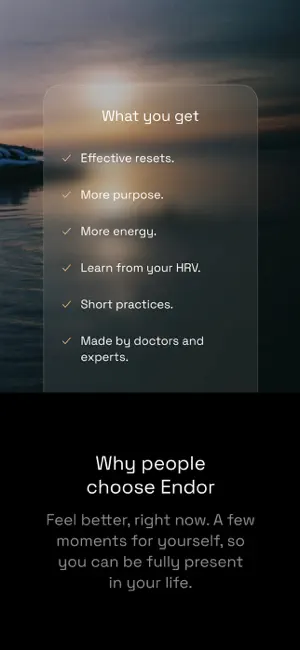 Endor Global screenshot 1