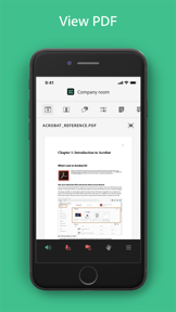 Adobe Connect screenshot