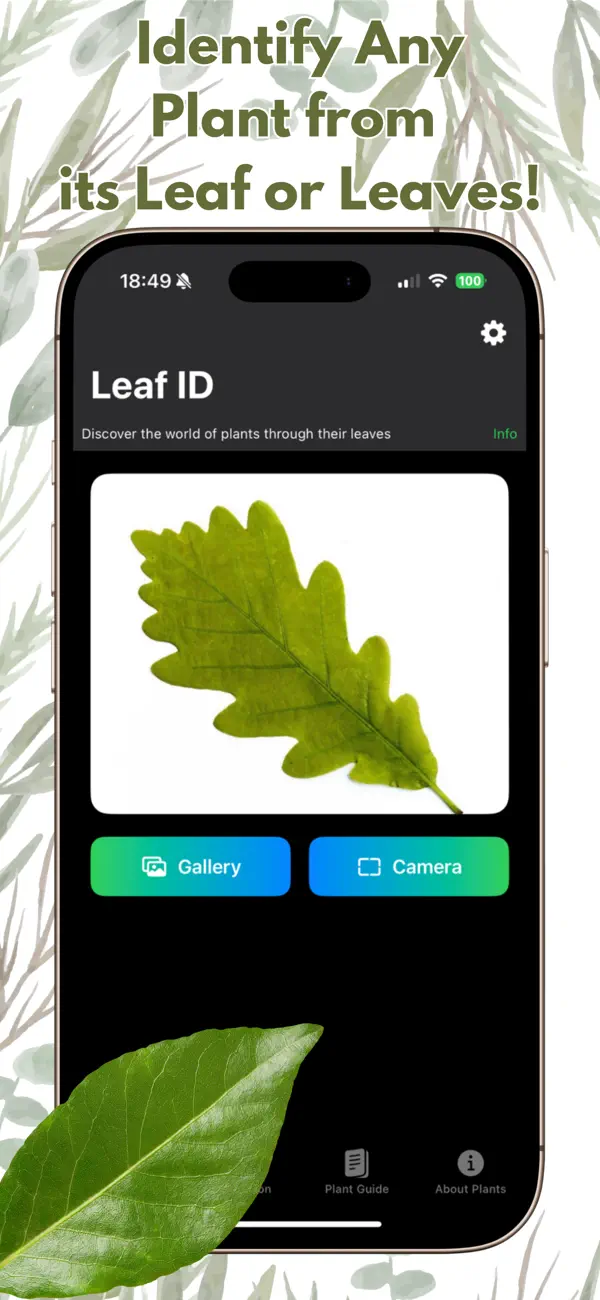 #1. Leaf Identifier: AI Scanner (iOS) Göre: Angel App Publishing Ltd.