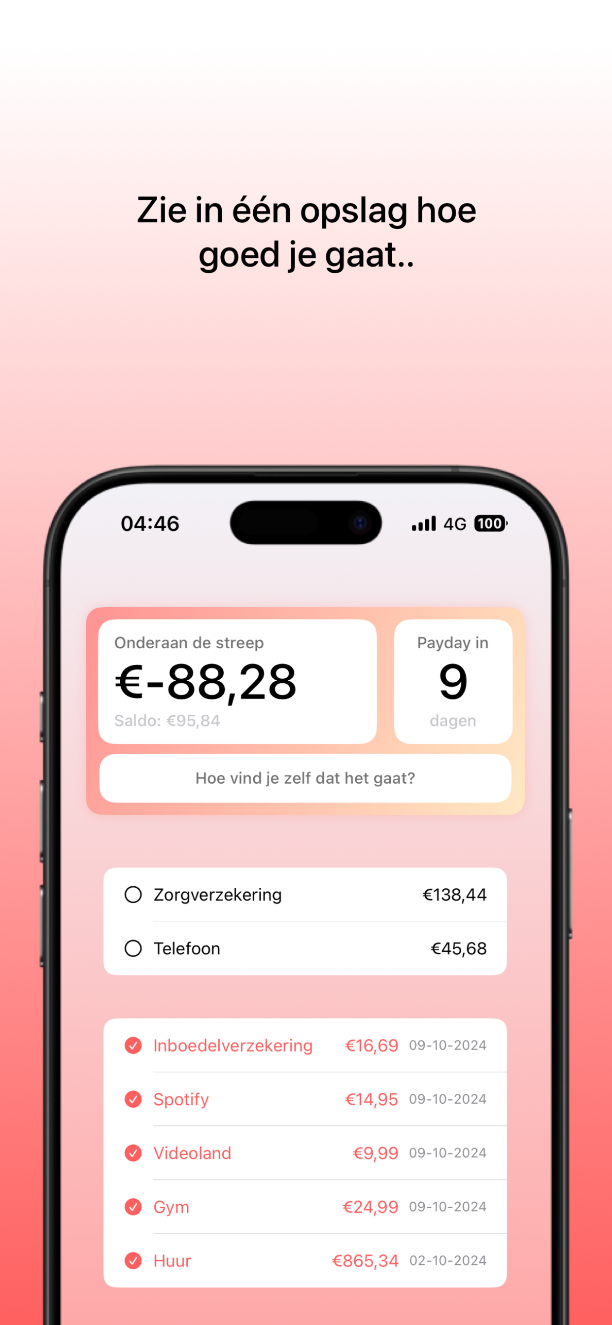 Dubbeltje screenshot 5