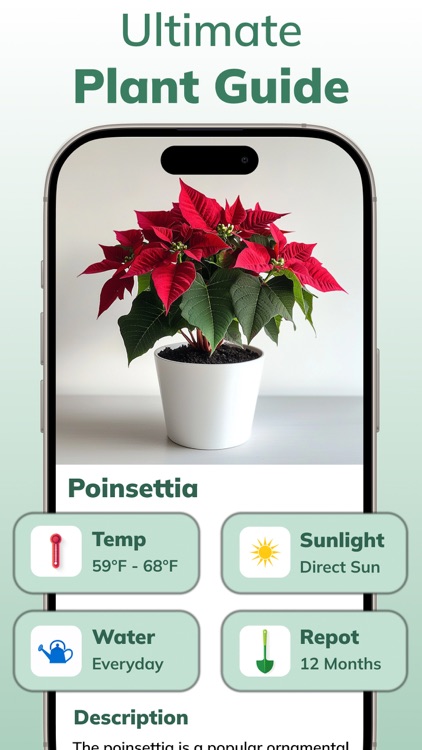 AI Plant Identifier Flower App