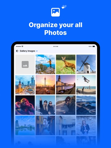 File Manager : Secure Media iPad screenshot