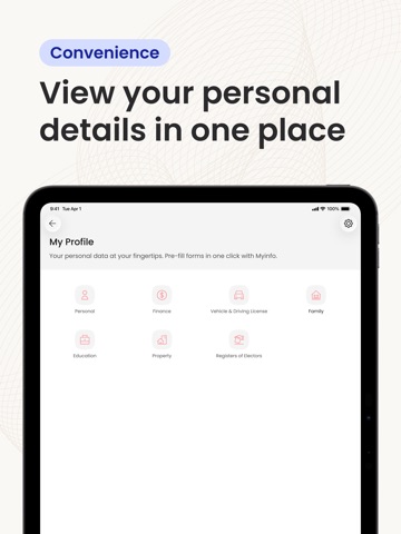 Singpass iPad screenshot