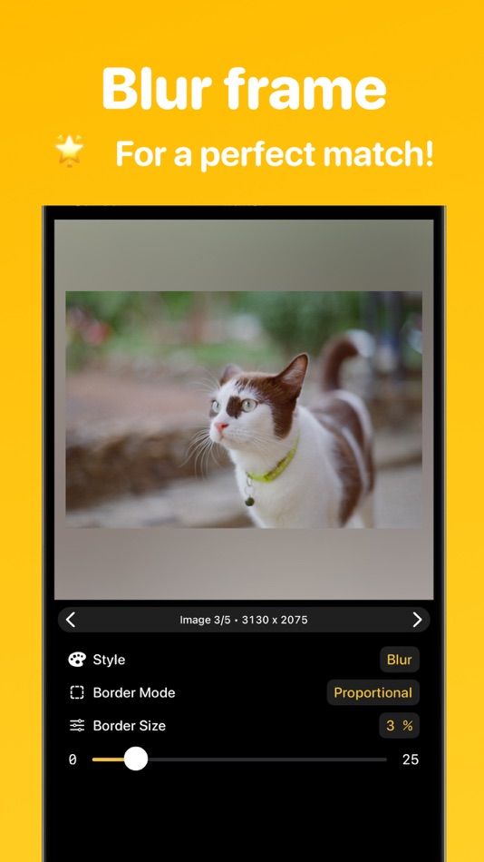 #4. Squarify - Posts With No Crop (iOS) 由: Kawrantin Le Goff