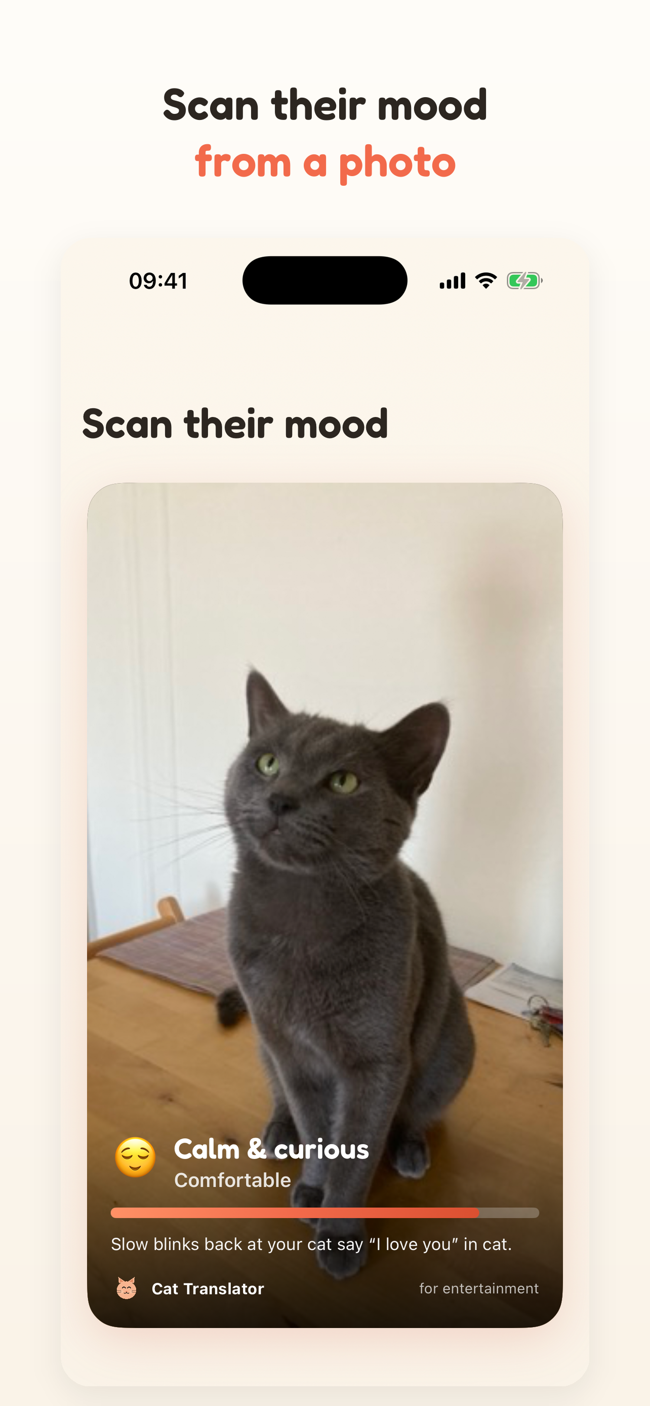 Cat Translator: AI Meow Talk screenshot 4