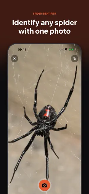 Spider Identifier: Spiderpedia screenshot 1