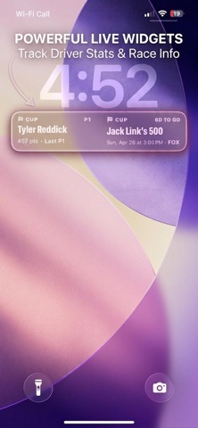 Checkered: Race Widgets screenshot