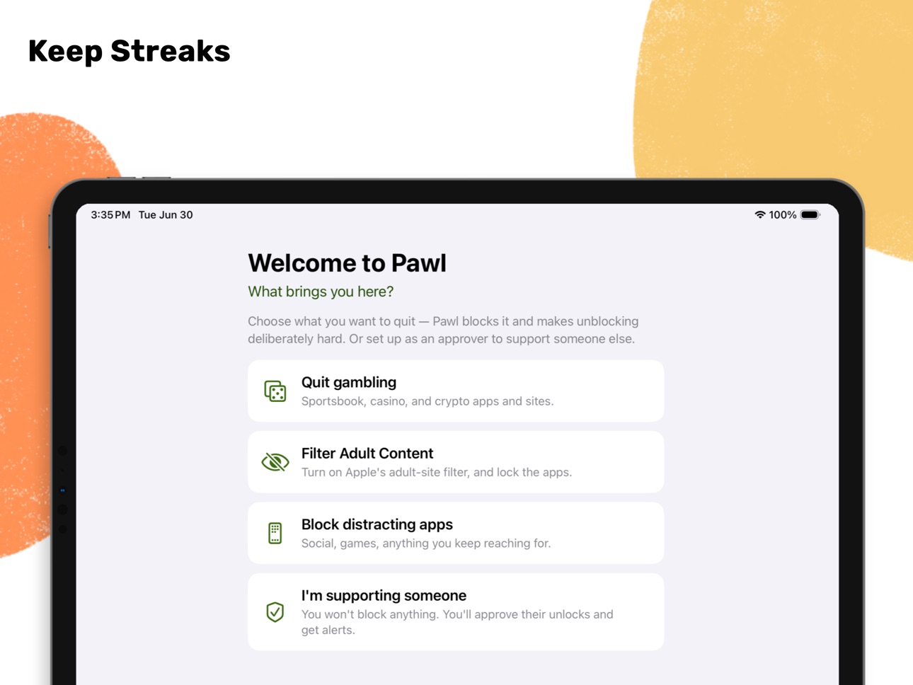 iPad screenshot