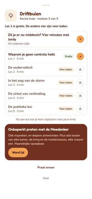 De Meedenker screenshot 2