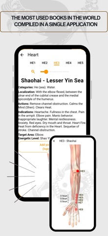 Acupuncture Assistant screenshot