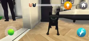 Granny POV: I am Cat Simulator screenshot #5 for iPhone