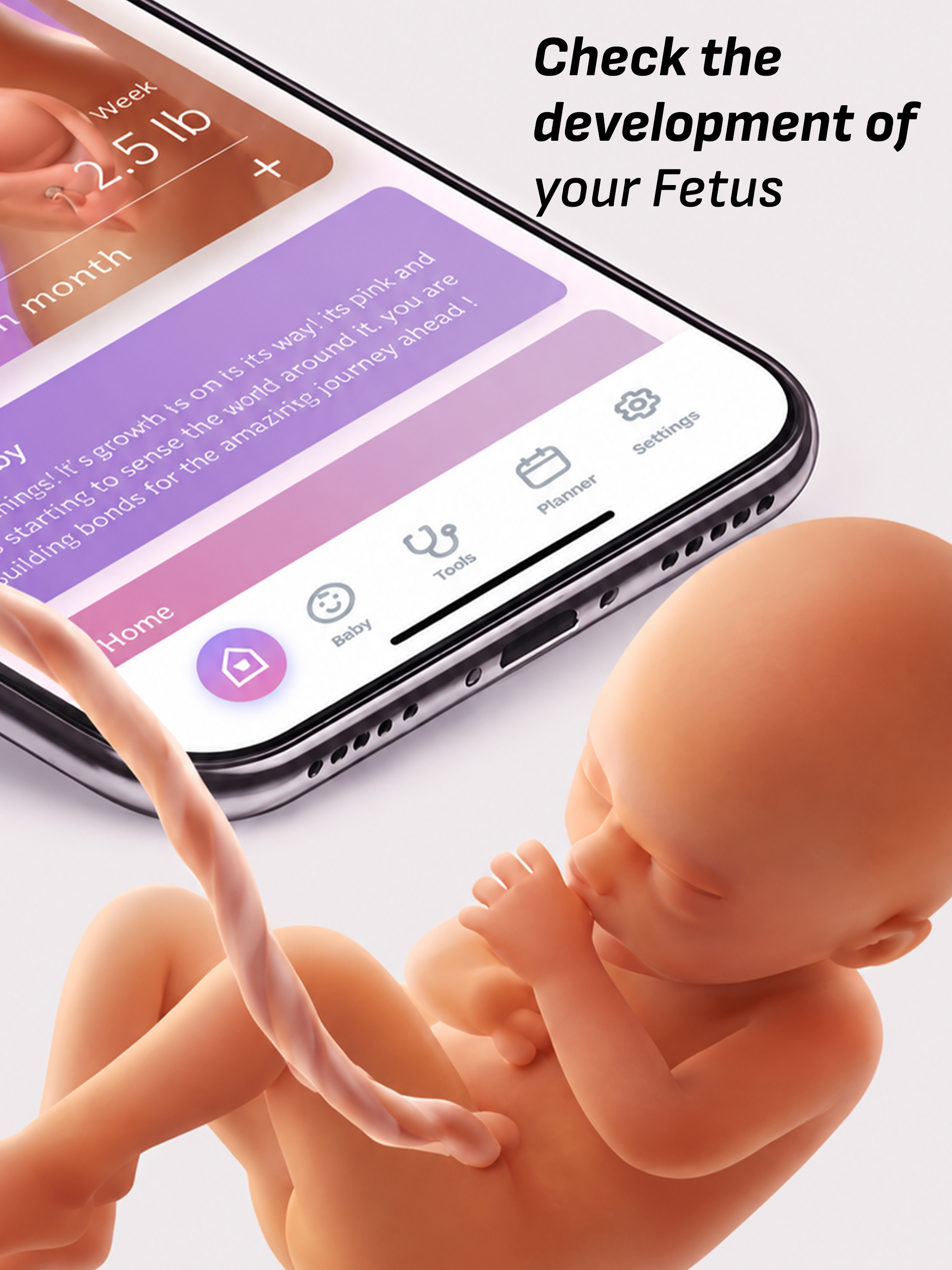 Bloom Pregnancy+
