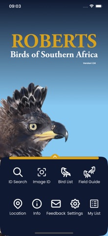 Roberts Birds screenshot
