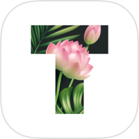 Text: Stylish fonts・Story font