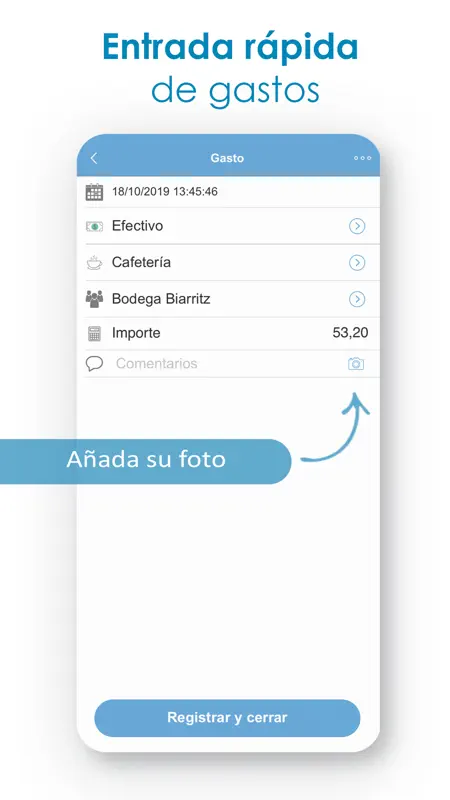 Presupuesto -Ingresos y Gastos screenshot 7 of 8