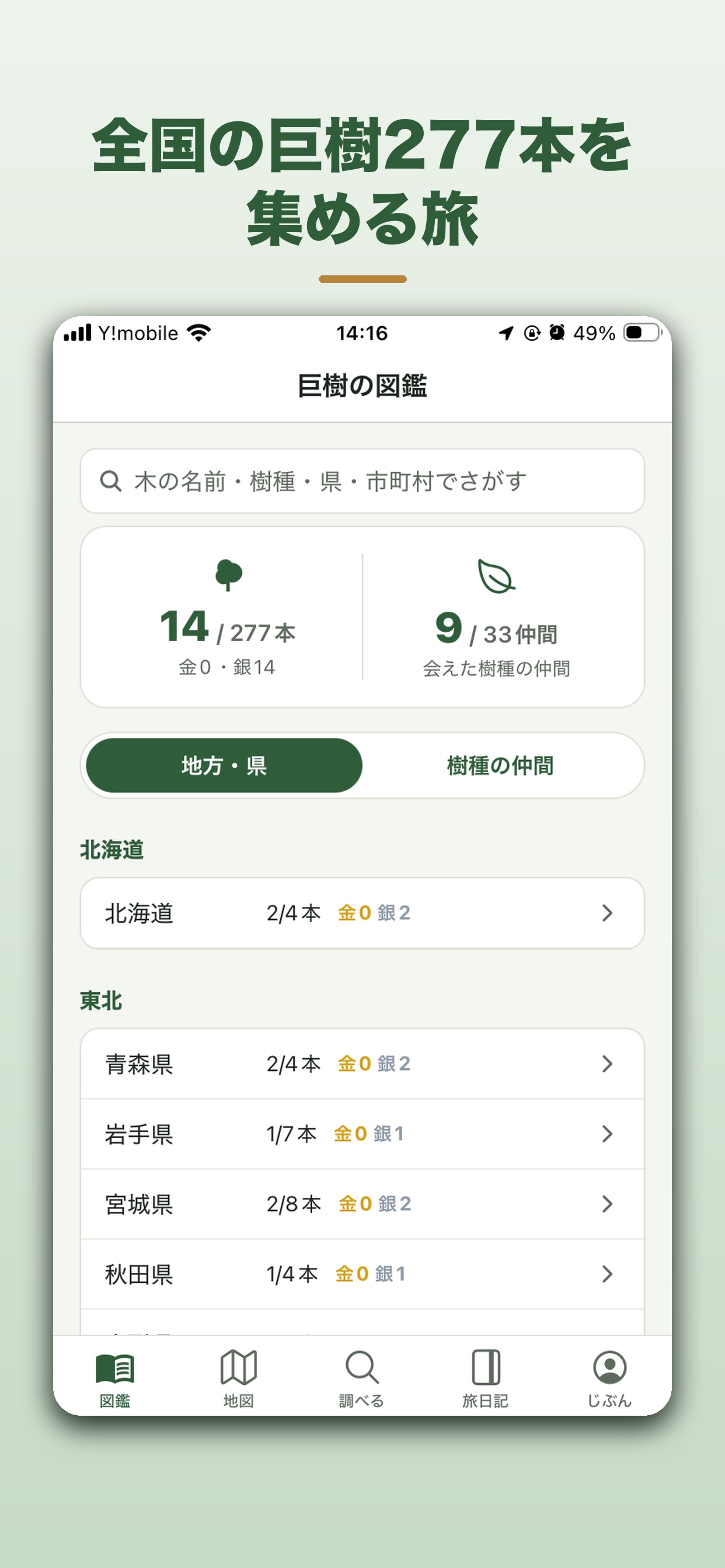 Screenshot 1 of 巨樹めぐり