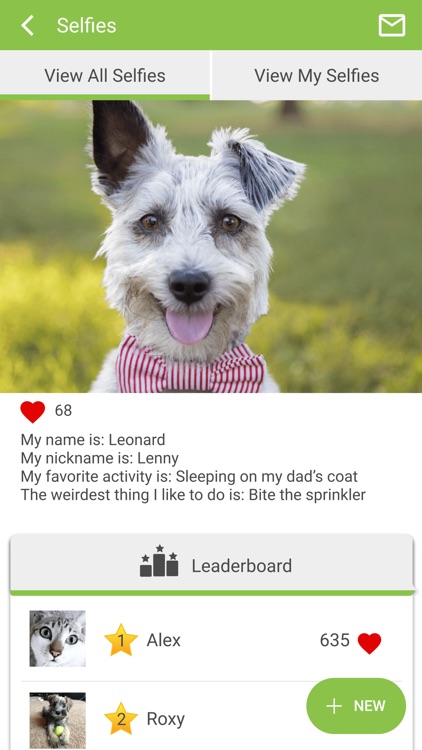 Maple Springs VH screenshot-3