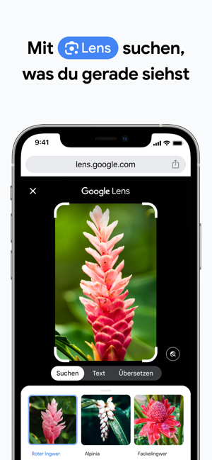 300x0w - iOS - Google Chrome und Google Drive veröffentlicht