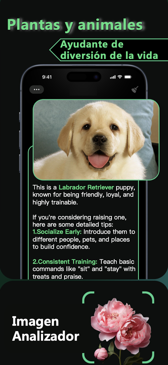 SnapSeek- Búsqueda Profunda AI