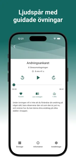 Närvaro i nuet screenshot 2