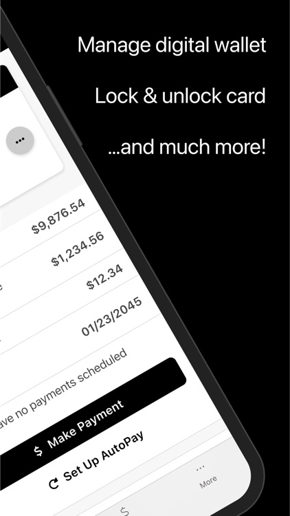 Verizon Business Mastercard