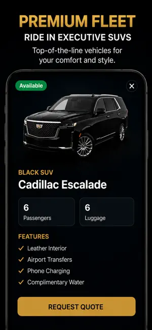 Super Cozy Limo screenshot 2