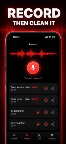 Voice Isolation 2026 iPhone screenshot