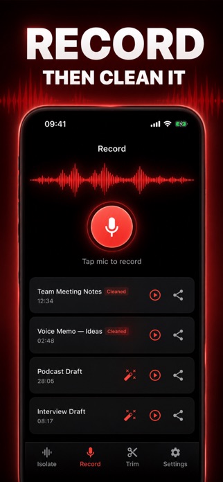 Voice Isolation 2026 Screenshot 2 of 3