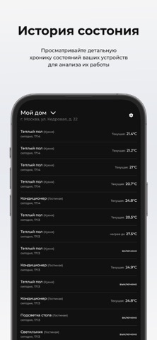 DublDom screenshot