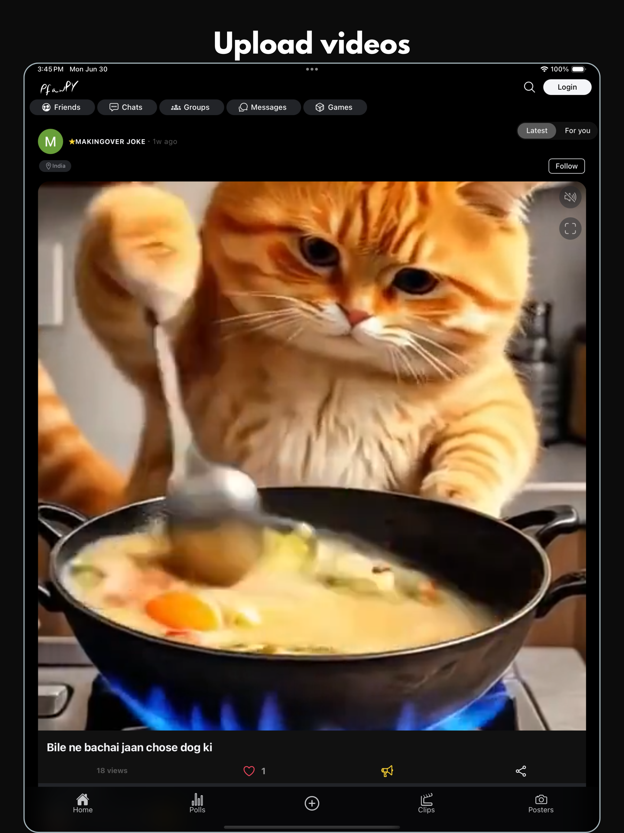 Pfawpy screenshot 14