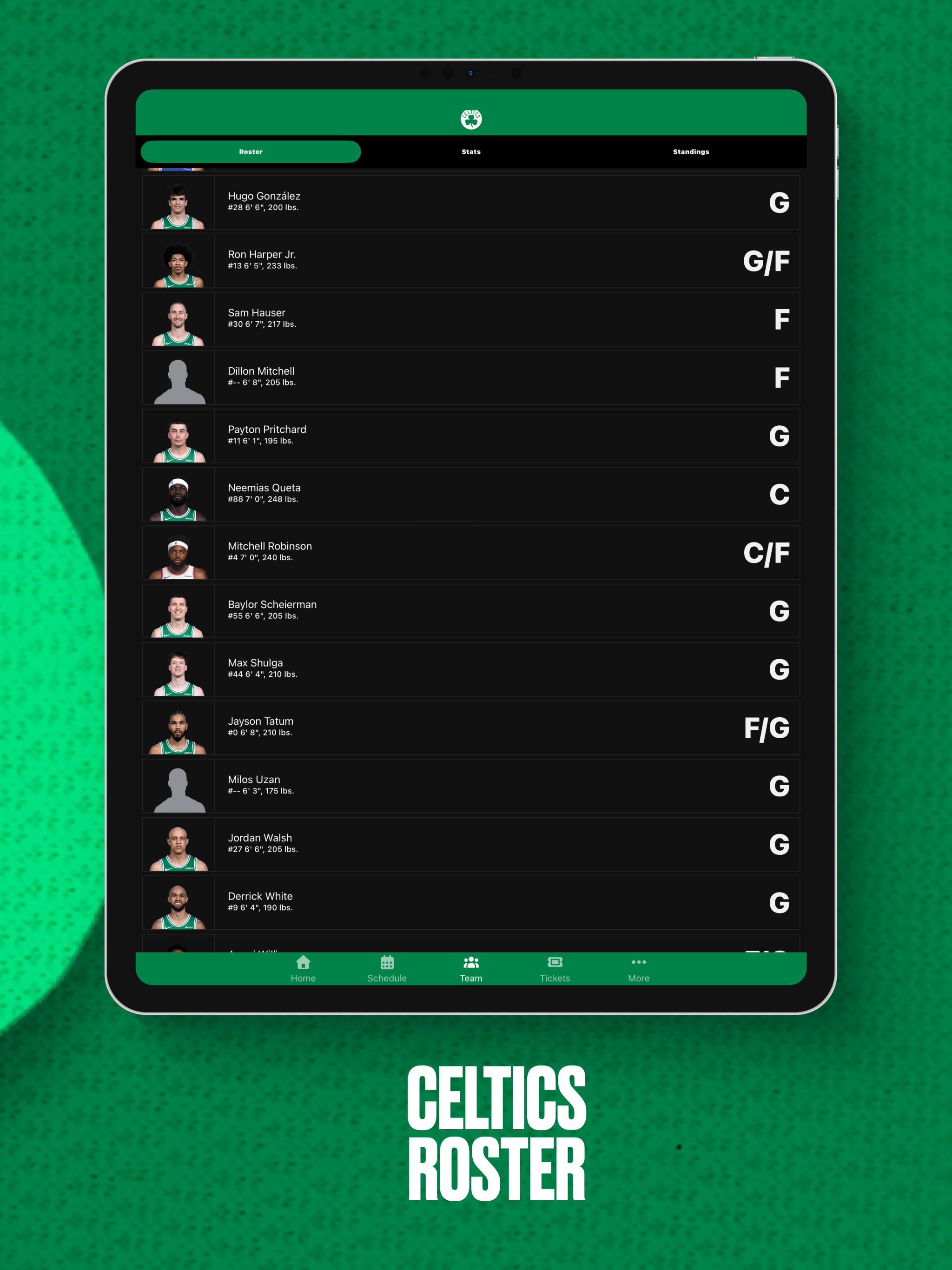 Boston Celtics screenshot 13