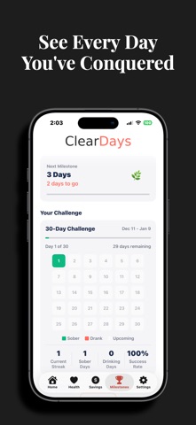 Clear Days : Sobriety Tracker Screenshot 4 of 8