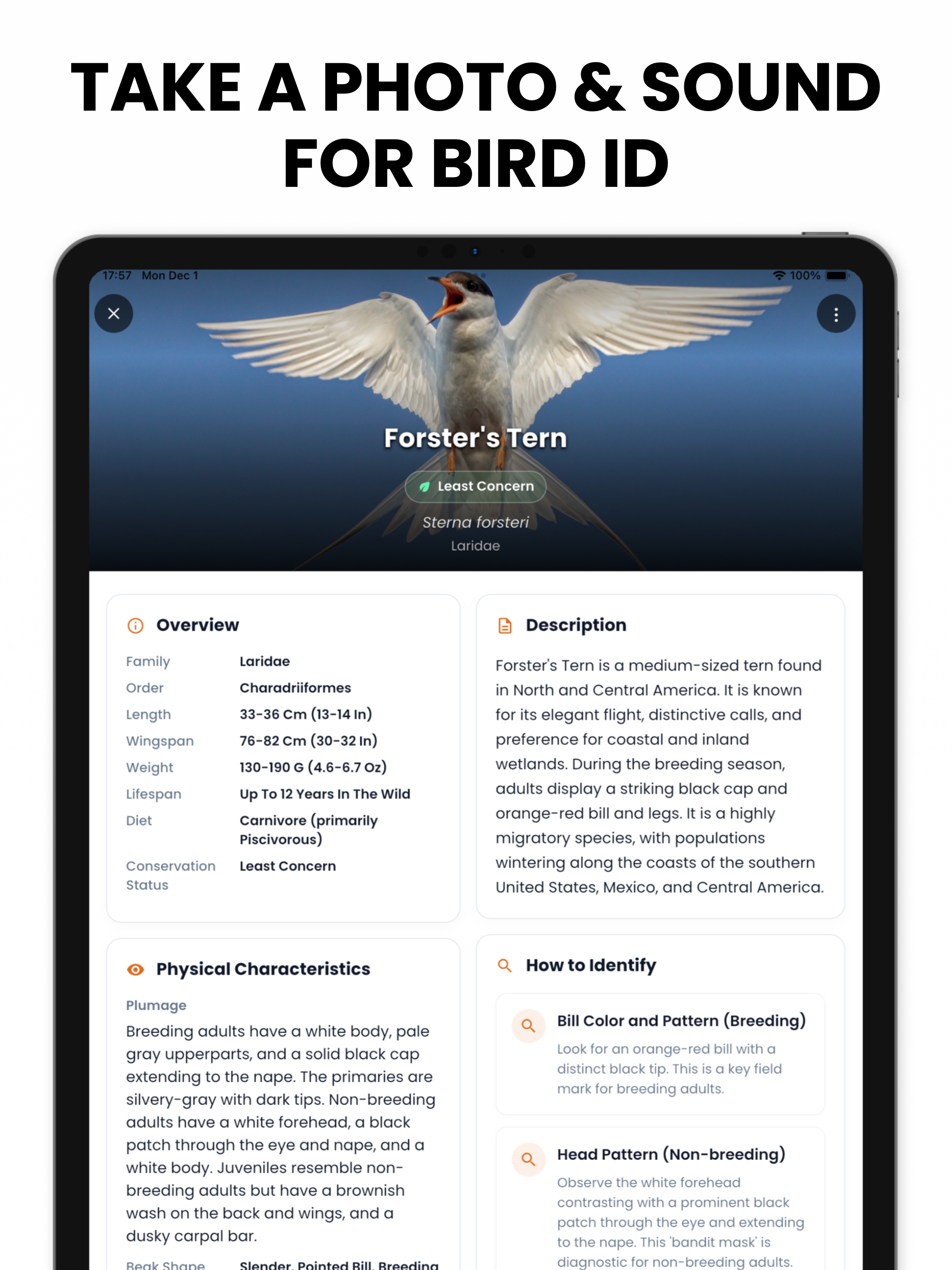 Bird Identifier AI - Birdby