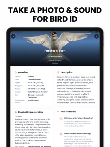 Bird Identifier AI - Birdby iPad screenshot