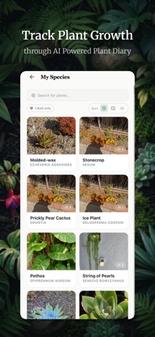 BotaniSense：AI植物养护 screenshot