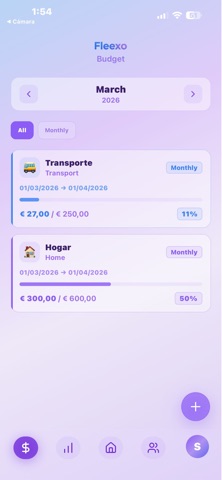 Fleexo - Control de gastos screenshot