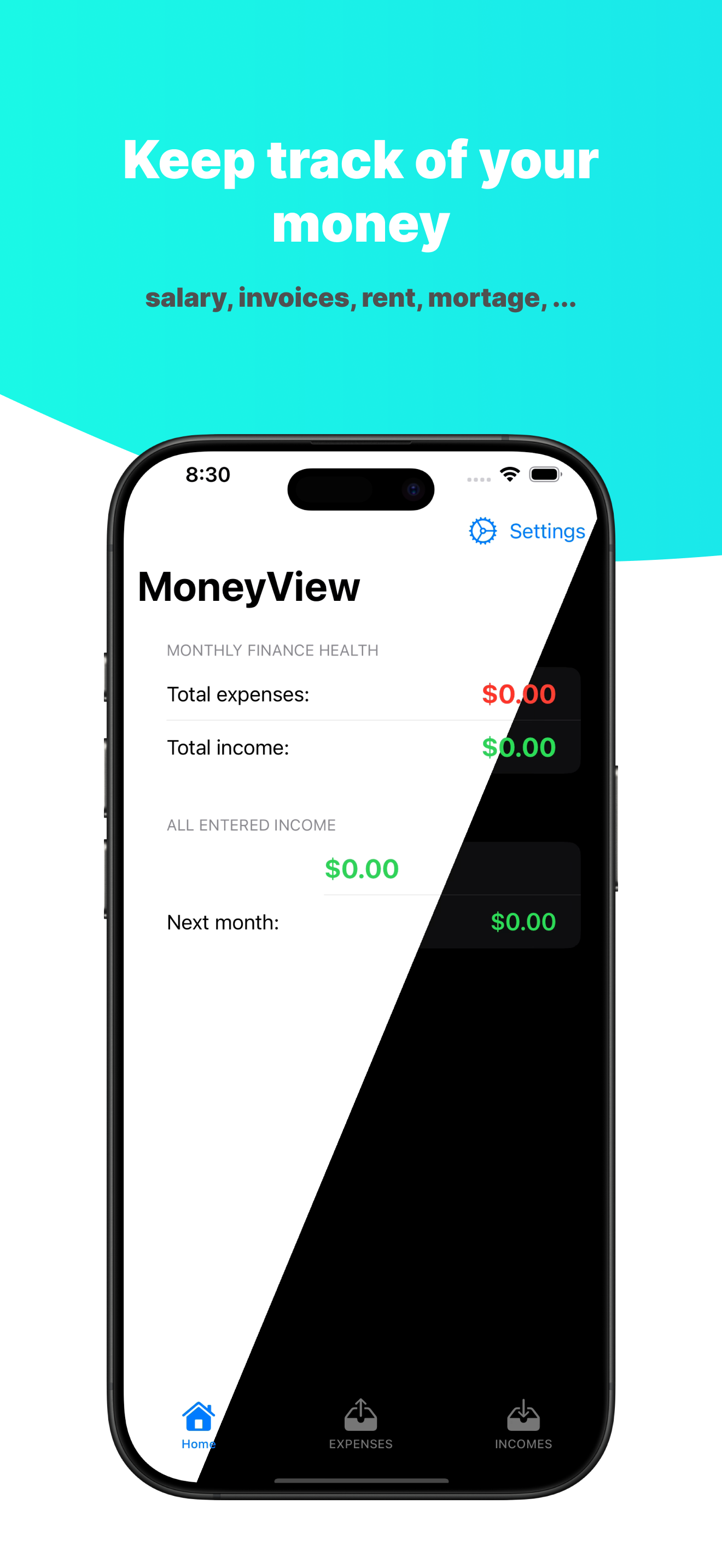 MoneyView: expenses & incomes