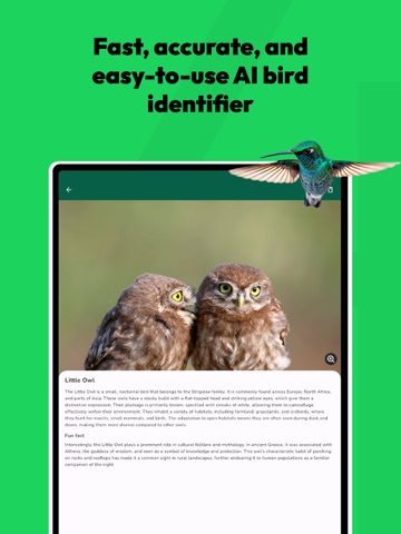 Bird Identifier - Ornithology iPad screenshot