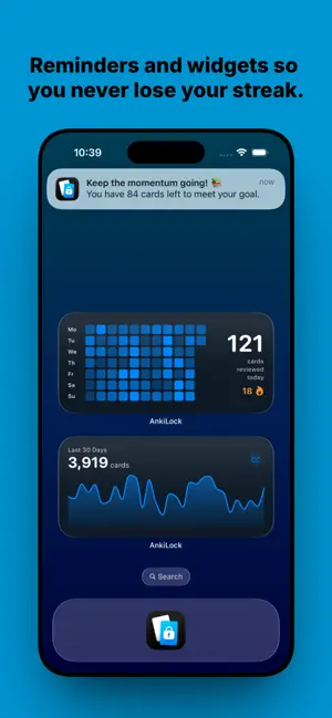 AnkiLock screenshot 2