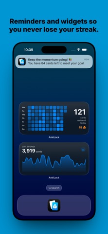 AnkiLock screenshot