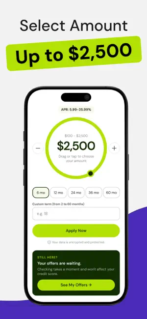 Money Borrowing: Cash Advance screenshot 4