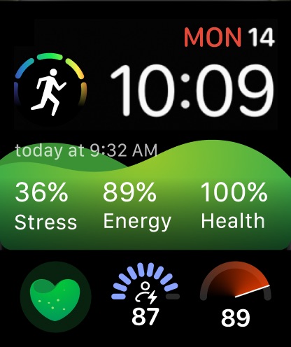 Welltory: Stress & Heart Rate: official Apple Watch preview 1 (opens full image in a new tab)