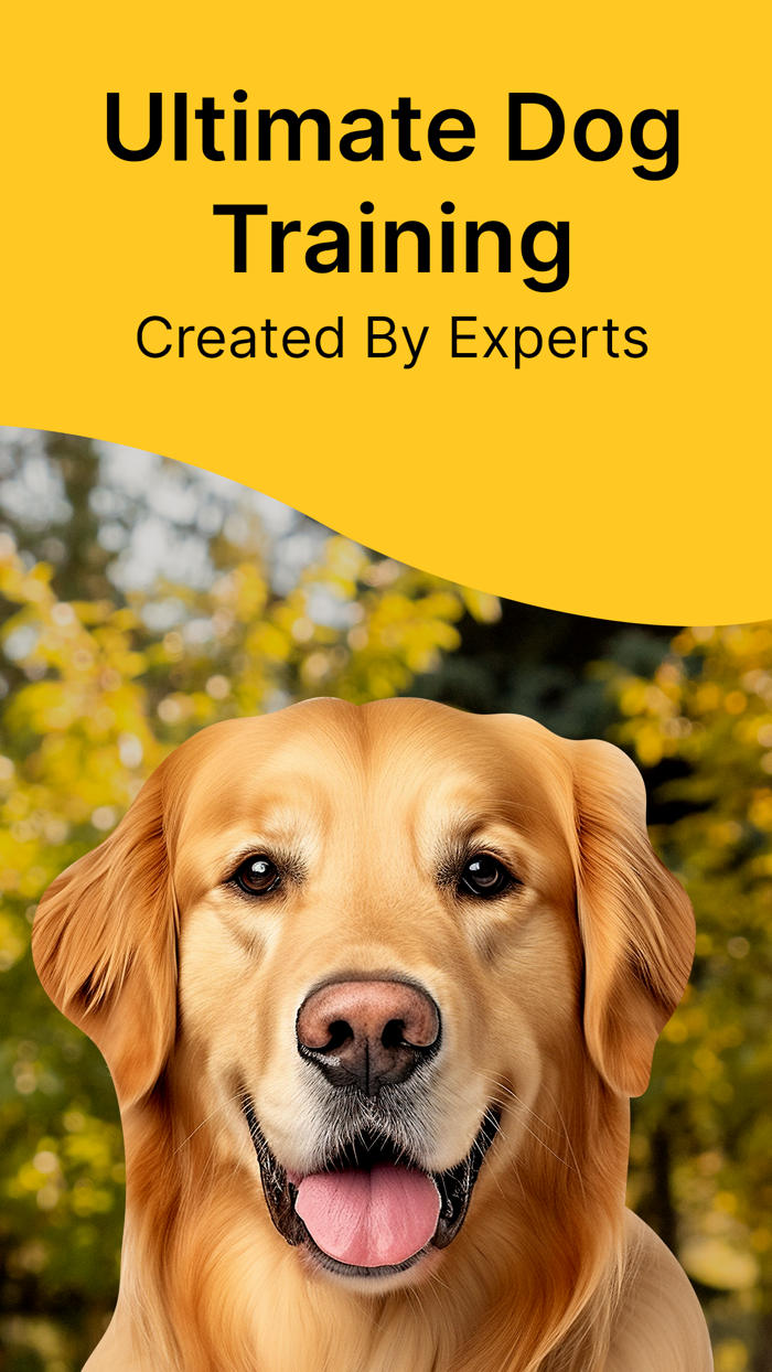 Dog Training  Pet Care Tricks