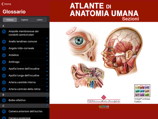 Atlante di Anatomia-Sezioniのおすすめ画像5