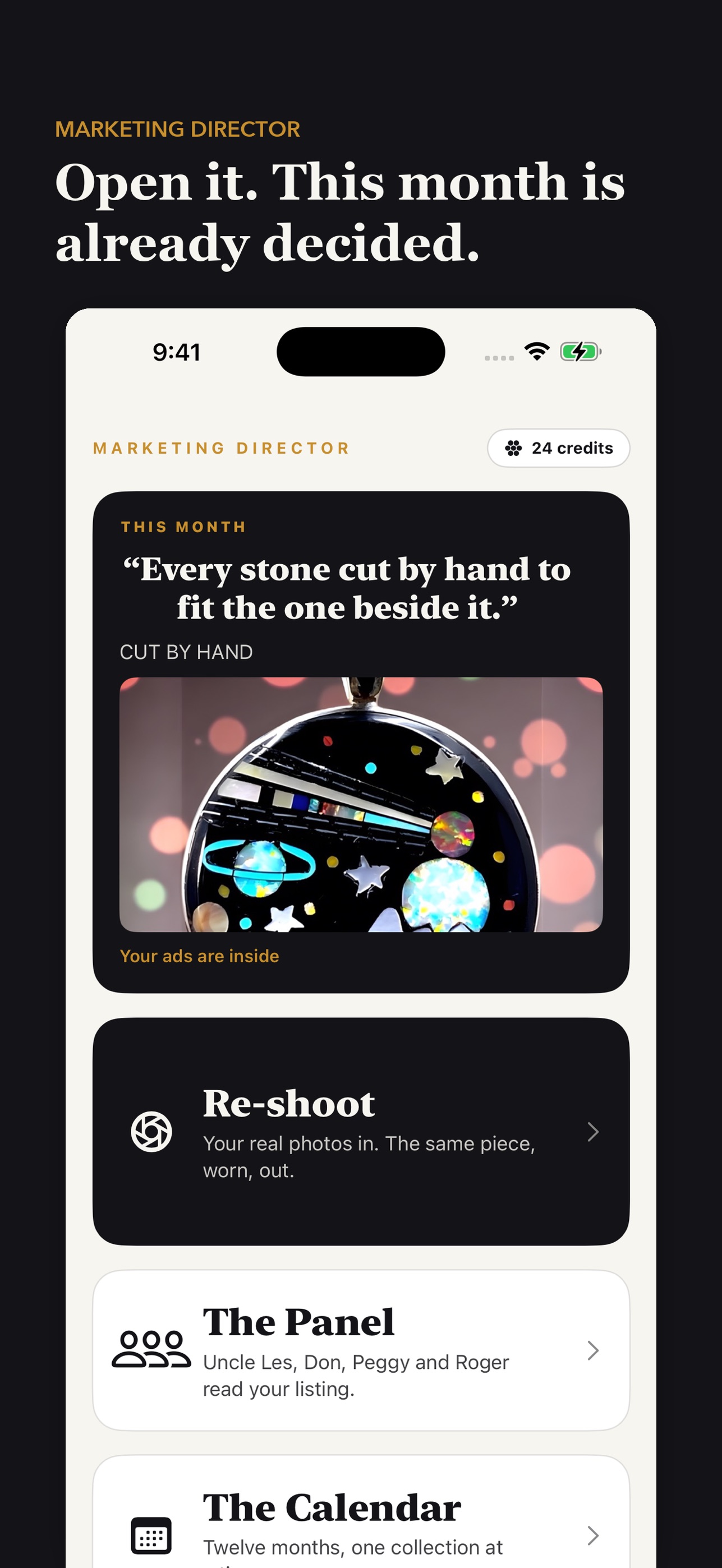 Screenshot 2 of Marketing Director