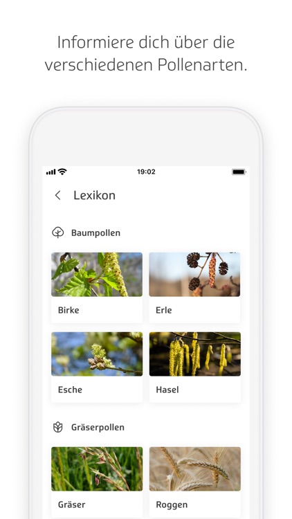 TK-Husteblume screenshot-3