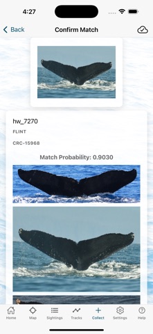 Whale and Dolphin Tracker Screenshot 4 of 5