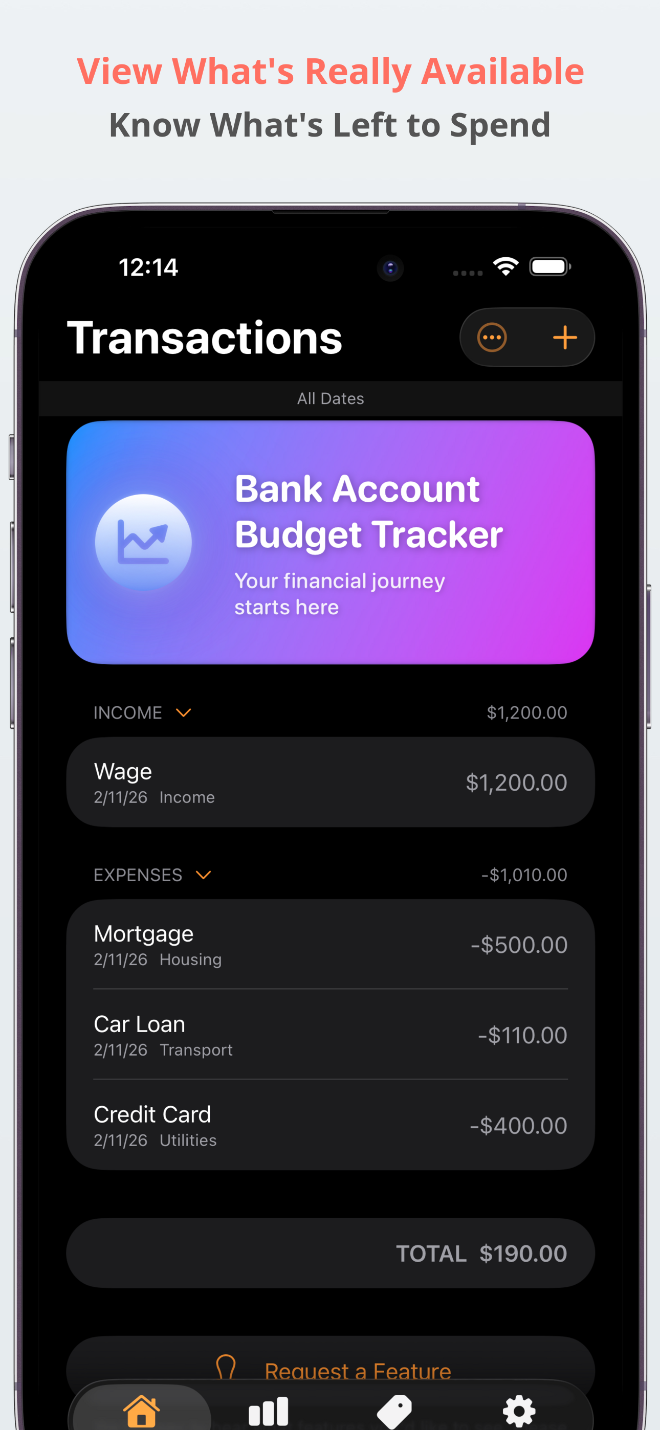 Bank Account Budget Tracker