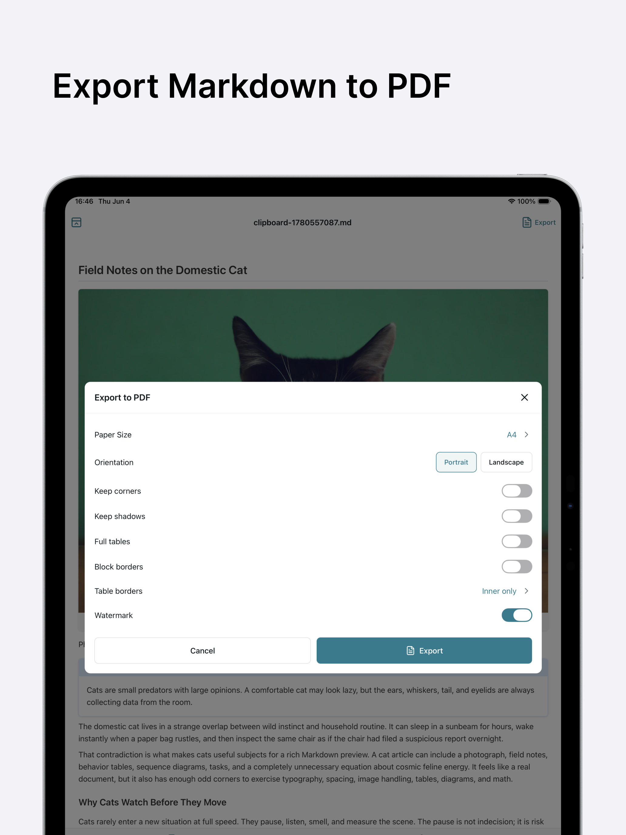 markup - Markdown Previewer -